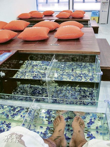 fish spa.jpg